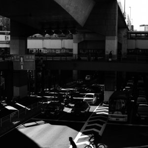 Silhouettes of  bicycle in sunny place