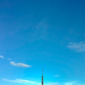遠くに見える東京タワー