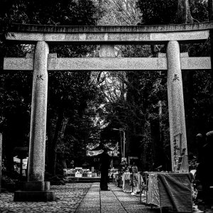 Torii standing in dimness
