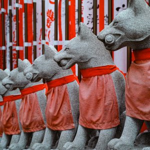 Fox statues in straight rows