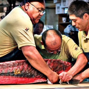 Men cutting tuna together
