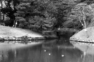Small bridge in Hamarikyu Gardens