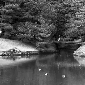 Small bridge in Hamarikyu Gardens