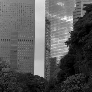 Modern buildings at the end of the path in Hamarikyu Gardens