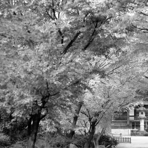 高円寺の石灯籠