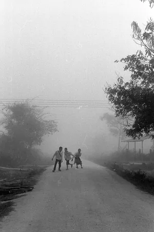 Three kids in morning fog
