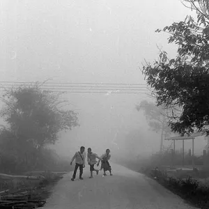Three kids in morning fog