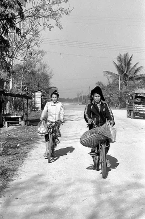Two bicycles running the dirt road