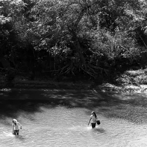 川の中で川苔を採る女の子
