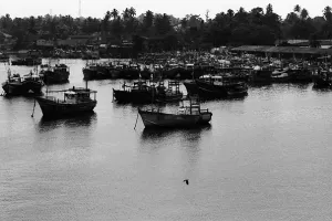 ベールワラ港に停泊していた漁船