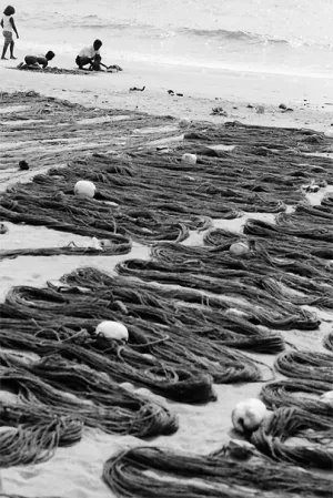 砂浜の上に並べられた漁網