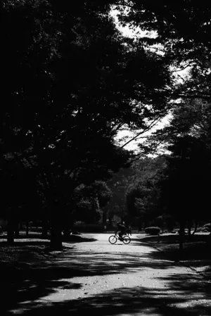 Bicycle running in Yoyogi Park