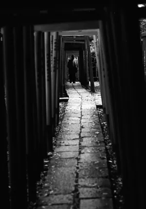 Figure walking through Torii