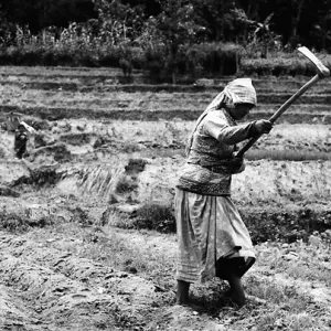 Woman doing farm work