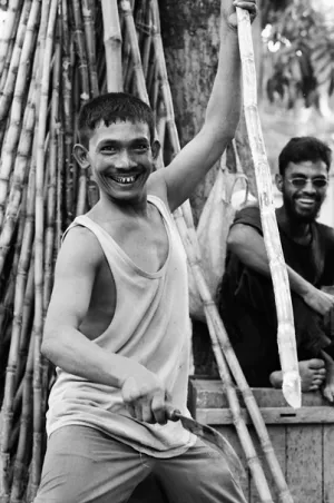 Man cutting bamboos happily