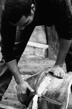 Fishmonger cutting ray