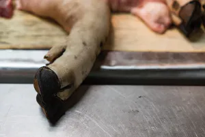 Hand of pork in butcher