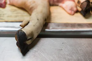 Hand of pork in butcher