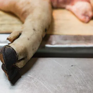 Hand of pork in butcher