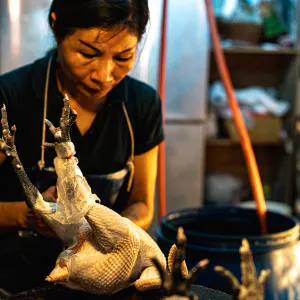 Female butcher and chicken