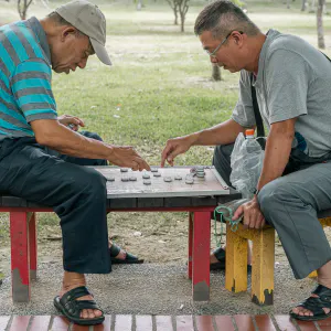 Men playing Chinese chess in a park