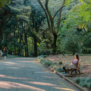 Woman sitting on bench