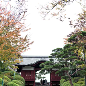 Furo-Mon gate in Gokoku-Ji
