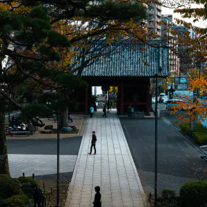 護国寺参道の人影