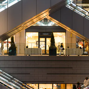 Escalators crossing