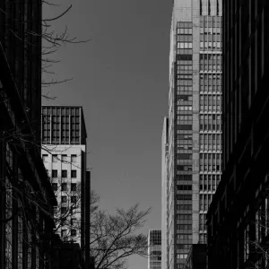Office buildings standing side by side
