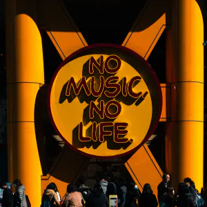 No music no life