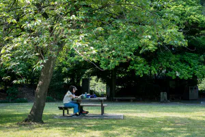 Couple reading book in Kiyosumi Teien Garden