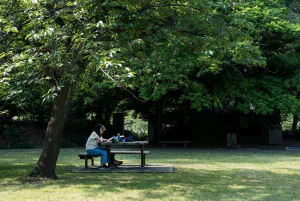 清澄庭園で読書するカップル