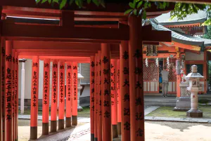 Torii standing in a line