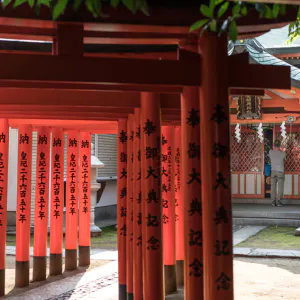 Torii standing in a line