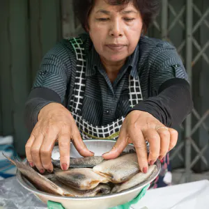 Woman weighing fishes with a weighing machine