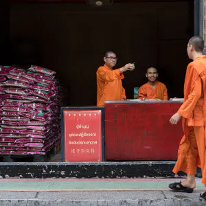 Young monks working in temple