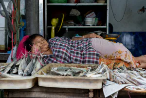 Woman sleeping on other side of fishes