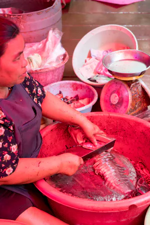 Woman cutting fish