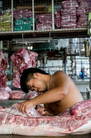 豚肉を捌く若い肉屋