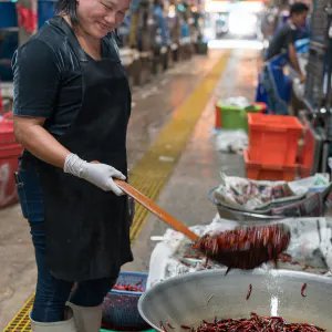 Woman cooking red peppers in big wok
