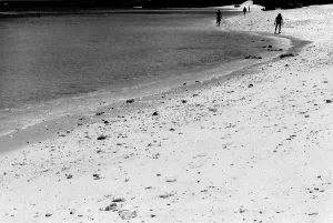 ニシ浜の湾曲する波打ち際