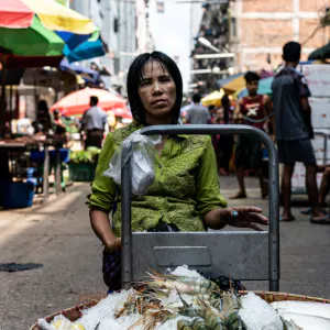 Woman selling shrimps