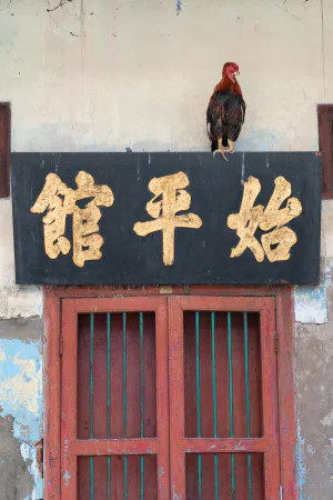 漢字で書かれた扁額の上に止まっていた雌鳥