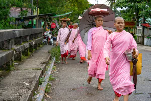 Buddhist nuns walking together