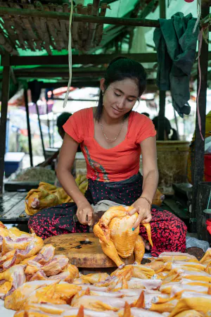 Woman cutting poultry meat in crossed-leg position