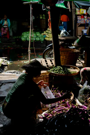 Woman selling eggplant at Da Nyin Gone Market
