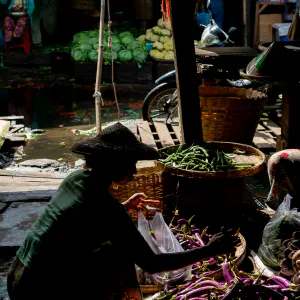 ダニンゴン市場で茄子を売る女性