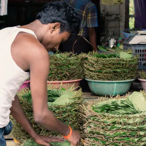 Man setting out betel leaves