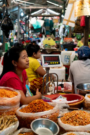 Woman selling dried shrimps